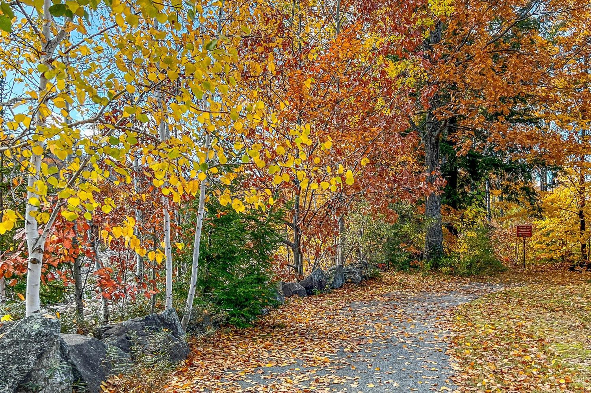 Autumn Colors Condo, Unit 215 Lincoln Exteriör bild